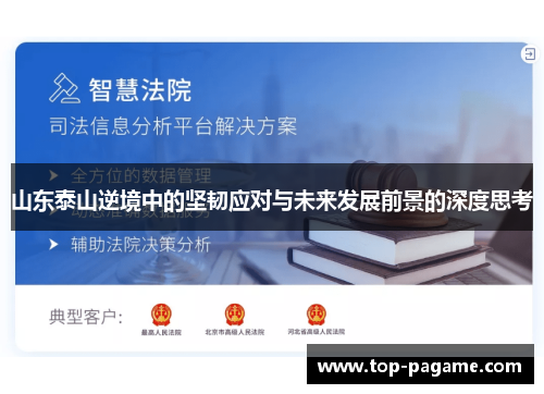 山东泰山逆境中的坚韧应对与未来发展前景的深度思考