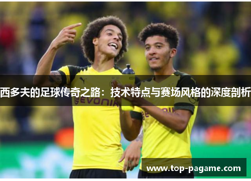 西多夫的足球传奇之路：技术特点与赛场风格的深度剖析