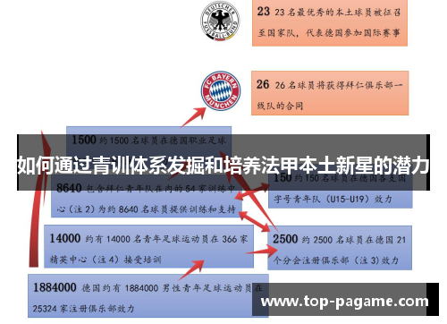 如何通过青训体系发掘和培养法甲本土新星的潜力 如何通过青训体系发掘和培养法甲本土新星的潜力