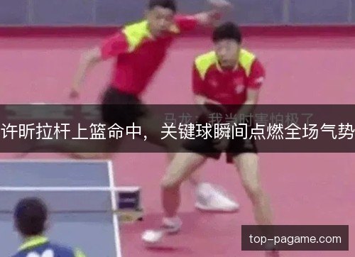 许昕拉杆上篮命中,关键球瞬间点燃全场气势 许昕拉杆上篮命中,关键球瞬间点燃全场气势